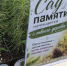 Губернатор Иркутской области Игорь Кобзев присоединился к международной акции «Сад памяти» - ИА ИркСиб