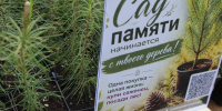 Губернатор Иркутской области Игорь Кобзев присоединился к международной акции «Сад памяти» - ИА ИркСиб