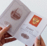 Юрист предупредила о  признаках мошенничества при бронировании туров - ChitaMedia