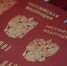 МИД ПМР высоко оценил решение РФ упростить получение гражданства - M24.Ru