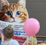 6cf7b483269ba17c02b7863f98c2c8ef - Novosti-Saratova.Ru