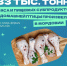 В Мордовии только за два месяца произвели 33 тысячи тонн мяса домашней птицы - Столица С