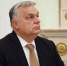 Орбан направит свое выходное пособие детскому дому в Закарпатье - РТВ-Подмосковье