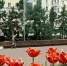 Май в Барнауле / Фото: amic.ru - ИА Амител