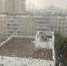 Неделя затяжных дождей ждёт новосибирцев - Gorsite.Ru