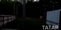 «Никто не помог! Хозяин стоял и смотрел!»: бультерьер изувечил девочку в РТ - ИА Татар-информ