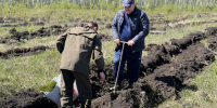 JPG Файл - УМВД Омской области