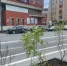 Уфу украсят кадки с декоративными растениями - Башинформ