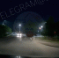 Лоси стали чаще появляться вблизи городов в Башкирии | ГТРК «Башкортостан» - ГТРК Башкортостан