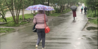 Воскресенье в Заполярье будет дождливым и тёплым - SeverPost.ru