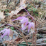 image - GazetaRB.Ru