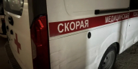 В Нижнекамске бультерьер на прогулке изувечил лицо 12-летней девочки - Казань Информ