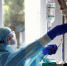 Грозит ли Новороссийсу вспышка смертельного хантавируса? - Газета Новороссийский рабочий