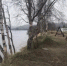 В Кильдинстрое начали строить дамбу - SeverPost.ru
