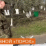 В курском приграничье саперы находят мины ВСУ в виде плюшевых игрушек - РИА Курск