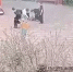 За взрыв петарды на детской площадке в Петербурге накажут четырех школьников - Комсомольская правда