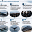 История-горбатого-кита-Тимми-1024x683.jpg - Газета Далекая окраина