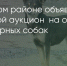 Поделитья во ВКонтакте - Братская Студия Телевидения