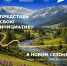 Россияне разработают инициативы социально-экономического развития регионов в проекте Президентской платформы «Россия – страна возможностей» - БрГУ