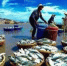 Экспорт вьетнамских морепродуктов нацелен на достижение 12 млрд долларов США - Ассоциация АМКОР