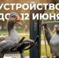 ФОРМИРОВАНИЕ КОМФОРТНОЙ ГОРОДСКОЙ СРЕДЫ - Библиотека Гавань