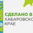 Цифровые торговые площадки России обяжут поддерживать самозанятых - ИА Хабаровский край сегодня