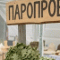 paroprobeg - Тамбовский курьер