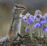 IMG_20260518_135028_824 - NeruLife.Ru