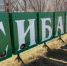 В Сибае вандалы повредили покрытие новой детской площадки - Башинформ