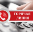 «Горячая линия»: расскажите о нелегальном бизнесе и нарушении трудовых прав. - Череповецкий район