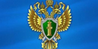 С 1 сентября 2026 года устанавливается административная ответственность за нарушение запрета продажи табачной или никотинсодержащей продукции. - Волоконовский муниципальный округ