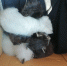 IMG_20260518_092337.png - 47 новостей