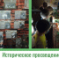Министерство просвещения Российской Федерации утвердило Концепцию исторического просвещения в образовательных организациях, в том числе в ДОО - Институт развития образования и повышения квалификации