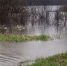 Вода на дороге - ИА Nord-News.Ru