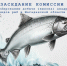 На Колыме состоялось заседание по регулированию добычи рыбы Источник - MagadanMedia.Ru