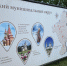 Акция «Ночь музеев» в Рузе - Рузский городской округ