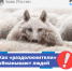 Как «раздолжнители» обманывают людей - Администрация г. Уварово