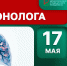 17 мая – Международный день пульмонолога - НИИ организации здравоохранения и медицинского менеджмента