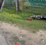Под Тверью 11-летний мальчик попал в ДТП на мотоцикле - Афанасий-биржа