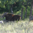 5ea0eb64-5558-4eec-a263-00b5cf65e0ed - Novosti-Saratova.Ru