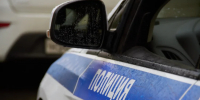В Нижнекамске задержали владельца бультерьера после нападения на девочку - ГТРК Татарстан