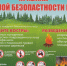 Правила пожарной безопасности при нахождении в лесных массивах - Сосновский муниципальный округ