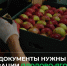 Какие документы нужны для реализации плодово-ягодной и овощной продукции? - Министерство АПК