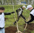 Фото: https://www.penza-gorod.ru/ - Penza-Post.Ru
