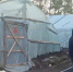 Полиция выявила 19 нелегальных рабочих в теплицах под Новосибирском - Gorsite.Ru