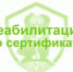 С 19 мая в Башкортостане приостанавливают приём заявлений на сертификаты реабилитации детей‑инвалидов - Министерство семьи, труда и соцзащиты населения