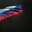 Российским гимнастам разрешили выступать с флагом и гимном на международных турнирах - Сетевое издание Толк