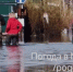 Дачи в «Кильдинском»: Воды по колено [видео] - SeverPost.ru