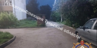 Под Тулой 14-летняя девочка вместе с подружкой упали с электросамоката - ТК Первый Тульский