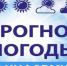 Метеорологический прогноз на 19.05.2026 - Венгеровский район